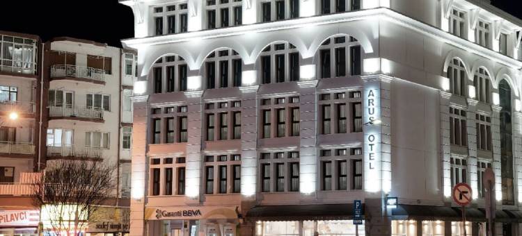 阿鲁斯酒店(Arus Hotel)图片