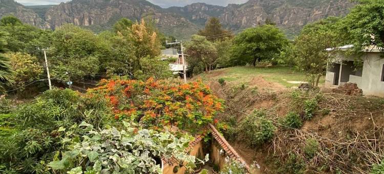 高迪之家(Casa Gaudí)图片