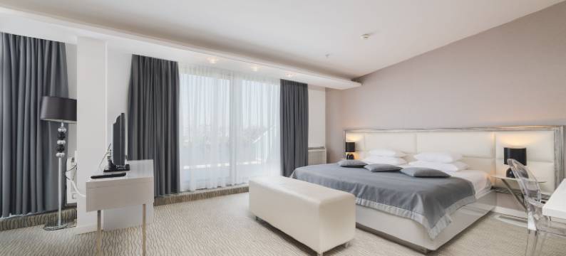 奥利尔酒店(Hotel Aurel)图片