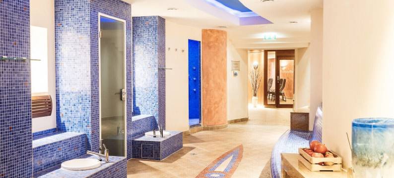 格蒂斯赫斯豪斯旅游查梅酒店(A-Rosa Gothisches Haus Wernigerode)图片