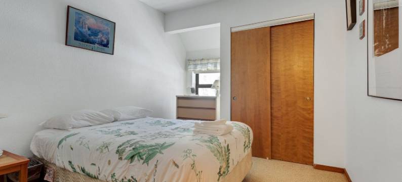 Year Round Condo- Sleeps 5! - Tamarack #17图片