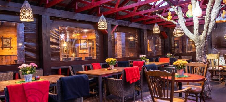 汉莎酒店(Hansa Hotel)图片