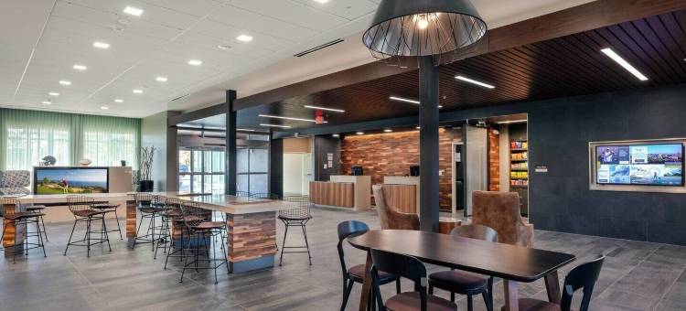 温特黑文万怡酒店(Courtyard Winter Haven)图片