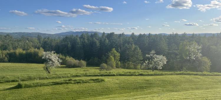 高山旅馆(High Hill Inn)图片