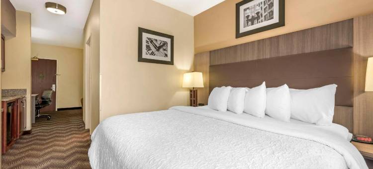 品质套房酒店(Quality Suites)图片