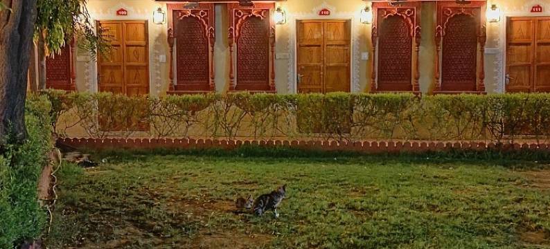 VIJAYVARGIYA DHANI酒店(Hotel Vijayvargiya Dhani)图片