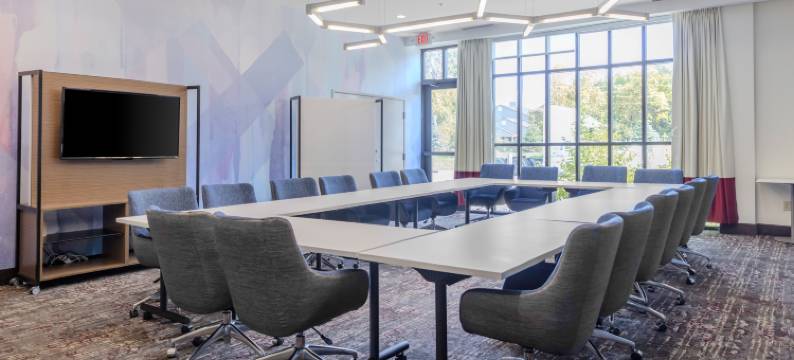 底特律尤蒂卡希尔顿花园旅馆(Hilton Garden Inn Detroit Utica)图片