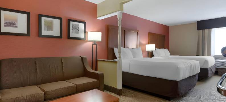 舒适套房酒店杰克逊北(Comfort Inn & Suites Jackson North)图片