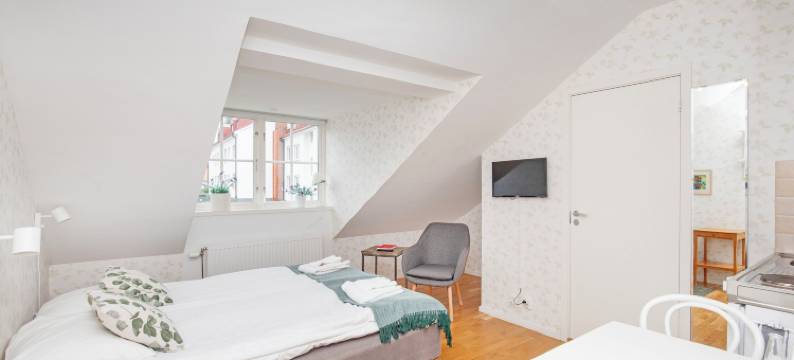 罗达马加西内特旅馆(Röda Magasinet)图片