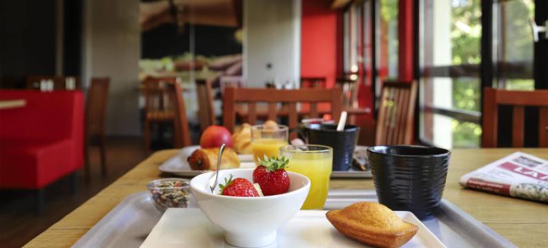 宜必思埃格勒通酒店(Ibis Egletons)图片