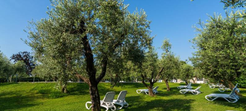 Mansion by Lake Garda with Pools & Olive Trees图片