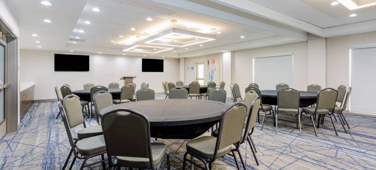 坦帕机场区体育场智选假日酒店及套房(Holiday Inn Express & Suites Tampa Stadium - Airport Area)图片