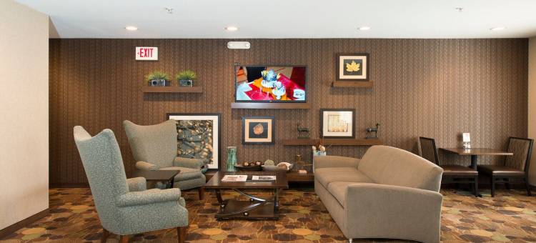 芝加哥迪尔菲尔德/林肯郡智选假日套房酒店(Holiday Inn Express & Suites Chicago-Deerfield/Lincolnshire)图片