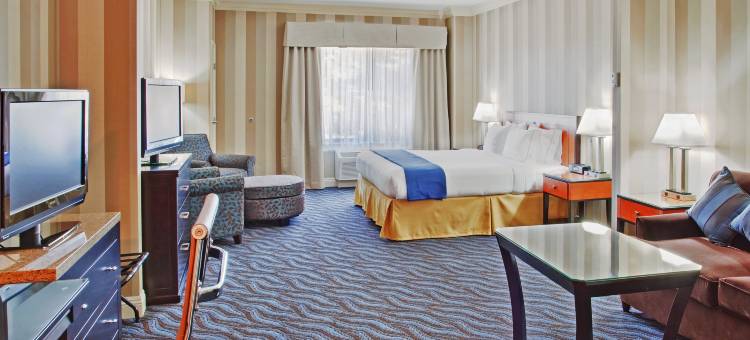 智选假日套房酒店圣克鲁斯(Holiday Inn Express & Suites Santa Cruz)图片