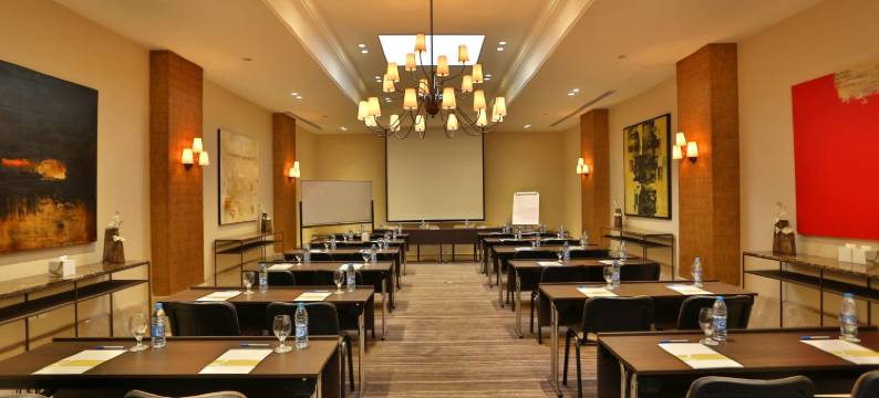 艾尔卡大都会酒店(AlQasr Metropole Hotel)图片