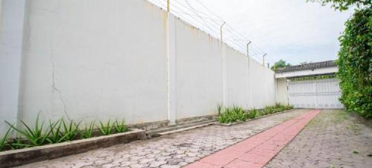 MW 46 Guest House Jogja图片