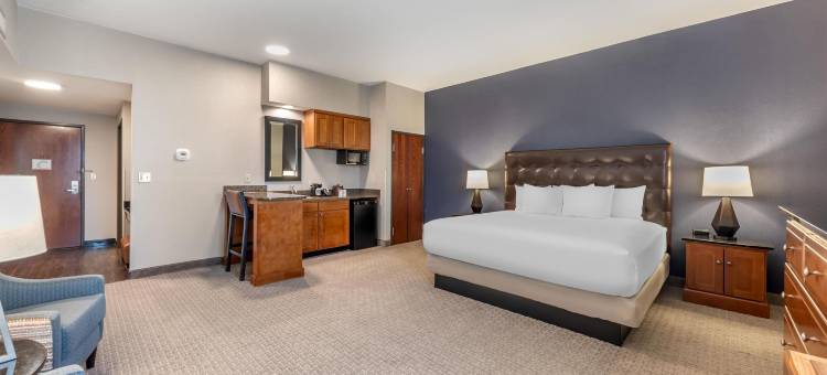 圣安东尼北-石橡树德鲁里广场酒店(Drury Plaza Hotel San Antonio North Stone Oak)图片