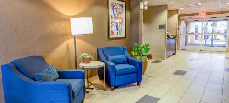 夏洛特洲际套房酒店(Charlotte Suites by IHG)图片