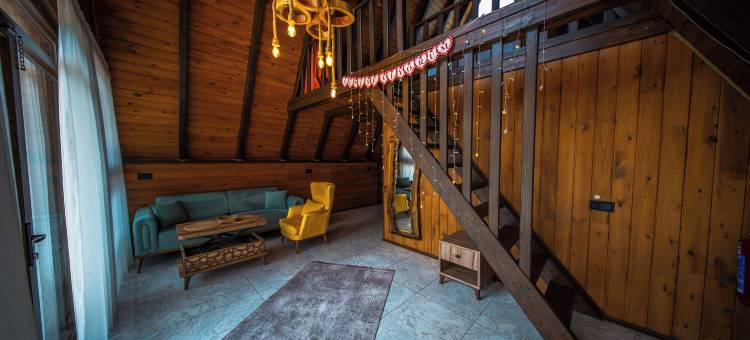 吉泽根平房(Gezegen Bungalow)图片