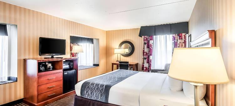 亚历山德里亚西部舒适酒店及套房(Comfort Inn & Suites Alexandria West)图片