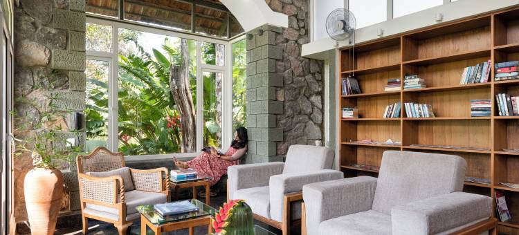 香料树Rajakumari(SpiceTree Rajakumari)图片