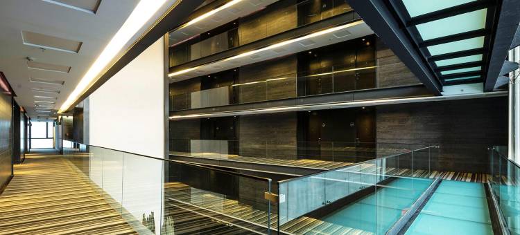 圣地亚哥佩特拉温德姆酒店(Wyndham Santiago Pettra)图片