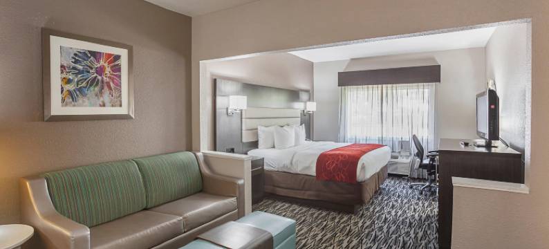 舒适套房酒店-李维斯维尔(Comfort Suites Lewisville)图片