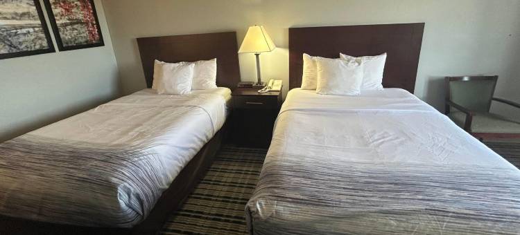 AmericInn by Wyndham Mosinee Central Wisconsin Airport(AmericInn by Wyndham Mosinee Central Wisconsin Airport)图片