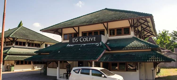 DS CoLive 玛丽娜(DS CoLive Marina)图片