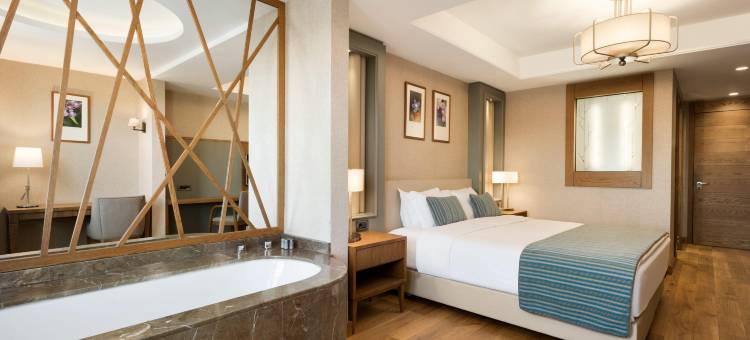 阿达那酒店(Ramada Hotel & Suites by Wyndham Adana)图片