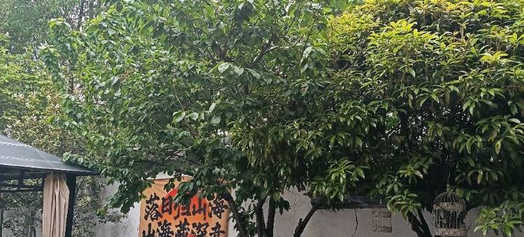 太古易居生活美学设计师度假美宿客栈(束白路分店)图片