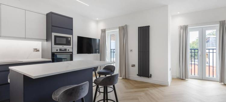 Modern Brixton Flat 2图片
