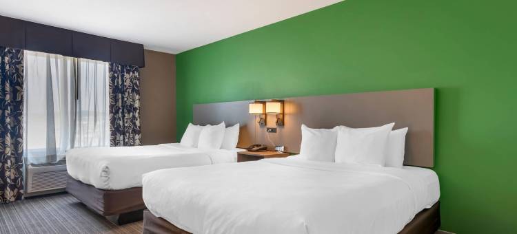 拉皮德城舒适套房酒店及会议中心(Comfort Suites Conference Center Rapid City)图片