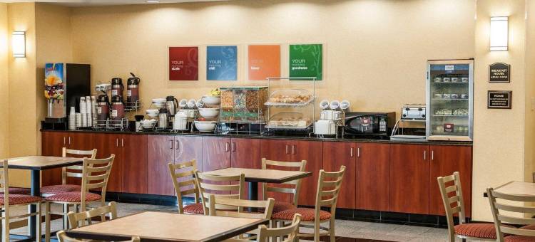 舒适套房酒店-近印第安纳波利斯机场(Comfort Suites Near Indianapolis Airport)图片