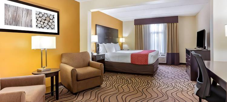 坦帕北I-75舒适套房酒店(Comfort Inn & Suites Tampa North I-75)图片