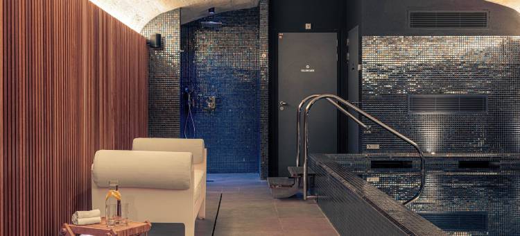 波尔多市中心福什别墅精品酒店(Villas Foch Boutique Hotel & Spa Bordeaux)图片