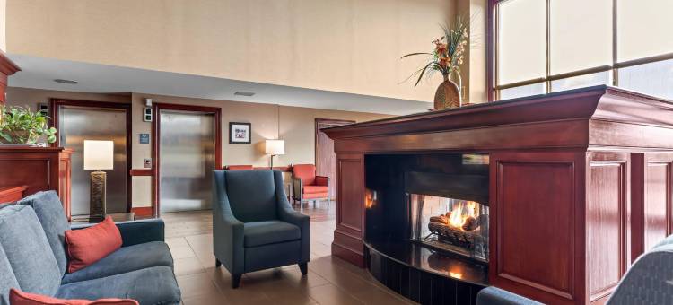曼纳萨斯战场公园舒适套房酒店(Comfort Suites Manassas Battlefield Park)图片