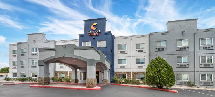 阿尔伯克基北气球嘉年华公园舒适套房酒店(Comfort Suites Albuquerque-North Journal Center)图片