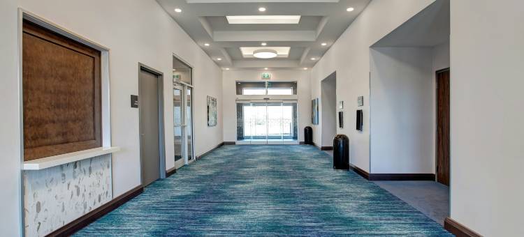 滑铁卢圣雅各布斯希尔顿欢朋套房酒店(Hampton Inn & Suites by Hilton Watertoo St. Jacobs)图片