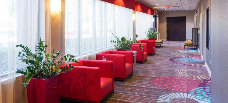 代托纳赛道机场欢朋酒店(Hampton Inn Daytona Beach-Speedway/Airport)图片