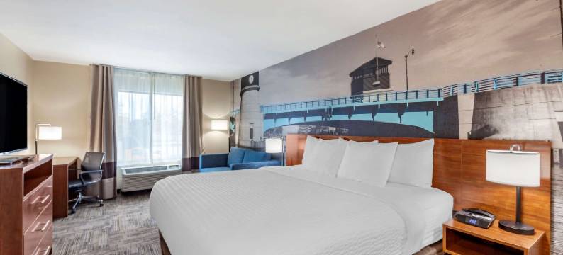 拉辛-芒特普莱森特凯隆波因特酒店(Clarion Pointe Racine - Mount Pleasant)图片