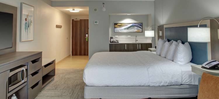 迈阿密机场南蓝礁湖欢朋套房酒店(Hampton Inn & Suites Miami-Airport South-Blue Lagoon)图片