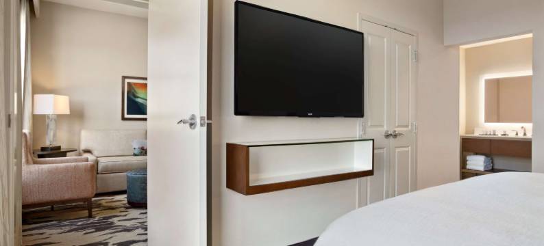 迈克艾伦会议中心希尔顿安泊酒店(Embassy Suites by Hilton McAllen Convention Center)图片