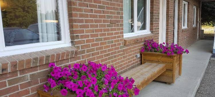 山麓汽车旅馆(Econo Lodge Inn & Suites)图片