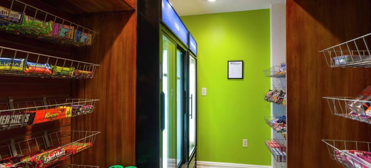 皇后区/肯尼迪国际机场希尔顿花园酒店(Hilton Garden Inn Queens/JFK Airport)图片