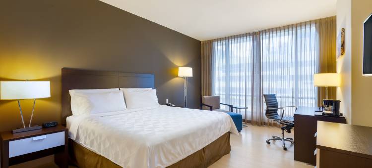 Holiday Inn 巴拿马城(Holiday Inn Panama Distrito Financiero)图片