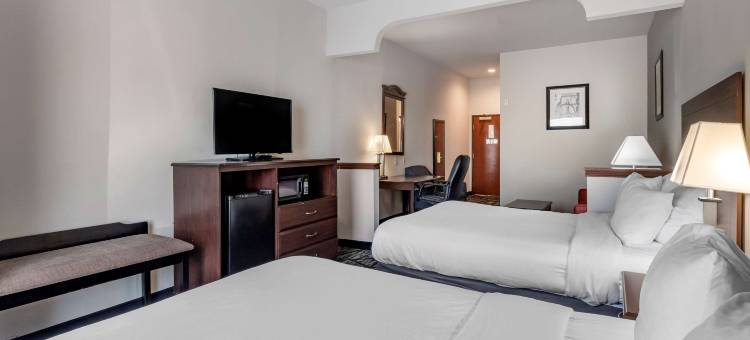 麦金尼贝斯特韦斯特优质套房酒店(Best Western Plus McKinney Inn  Suites)图片