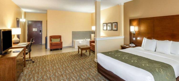 科图拉I-35附近舒适套房酒店(Comfort Suites Cotulla Near I-35)图片