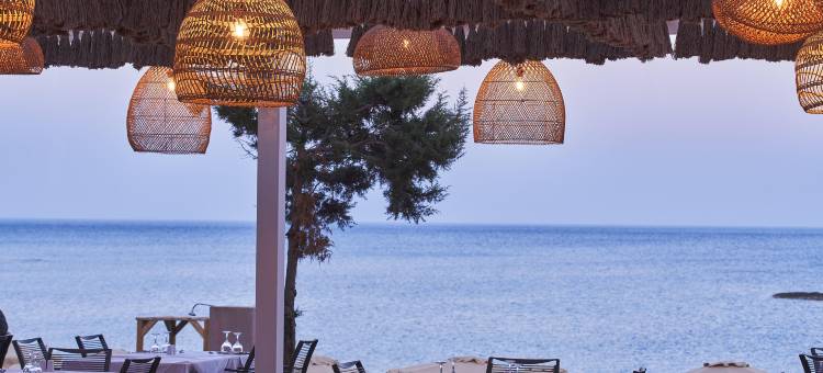 罗得岛公主海滩酒店(Rodos Princess Beach Hotel)图片