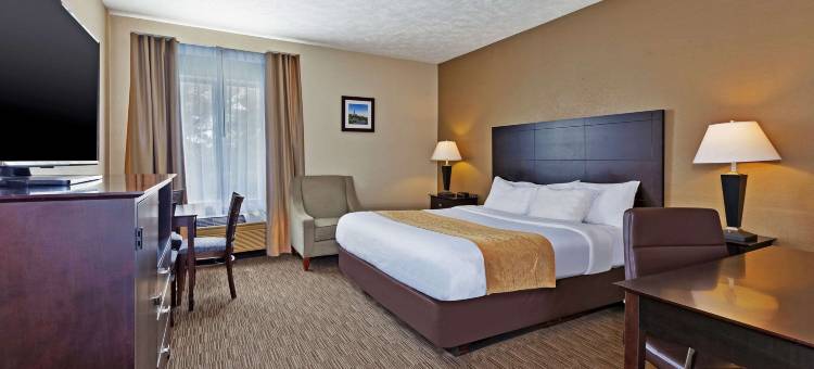 白厅舒适酒店 - 近密歇根冒险乐园(Comfort Inn Whitehall Near Michigan's Adventure)图片